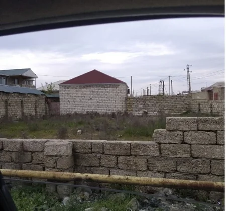 Asan qazanc hərisliyi COVID-19-dan daha yaşlı və qorxuludur - ARAŞDIRMA