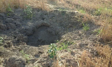 ​Ağcabədi və Bərdədə top mərmisi və piyada əleyhinə mina aşkar olunub