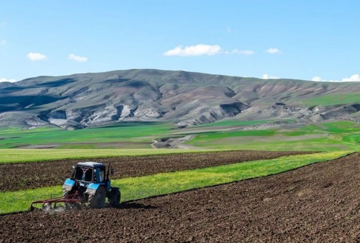 Fermerlərdən yazlıq əkin bəyanlarının qəbulu sona çatıb