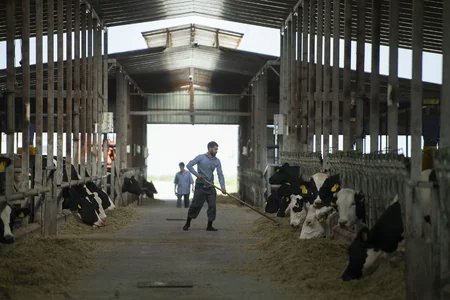 Məcnun Məmmədov Şamaxıdakı müəssisələrin fəaliyyəti ilə tanış olub