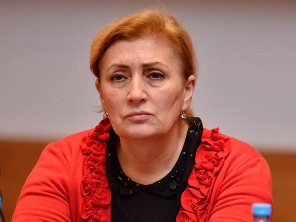 Milli Məclisin deputatları Avronest PA-nın sosial komitəsinin iclasında təqdimatla çıxış edəcəklər