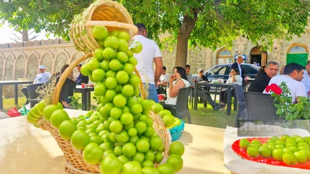 Naxçıvanda “Göycə” festivalı keçirilir
