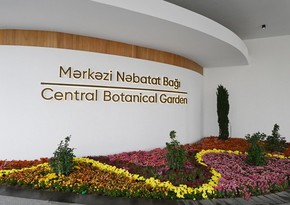 Mərkəzi Nəbatat Bağına təcili tibbi yardım avtomobili daxil olmayıb - RƏSMİ