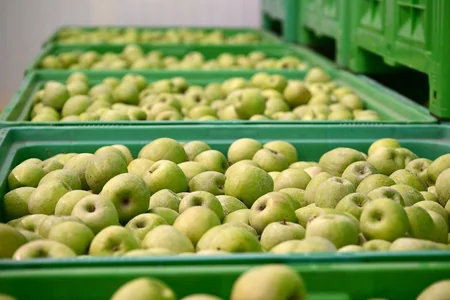 President Ilham Aliyev inspects operations of horticulture and cold storage complex in Gusar District