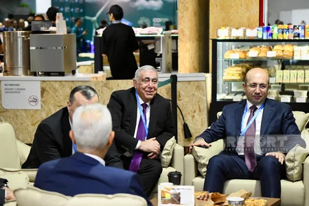Официальные лица на COP29 - ФОТОРЕПОРТАЖ