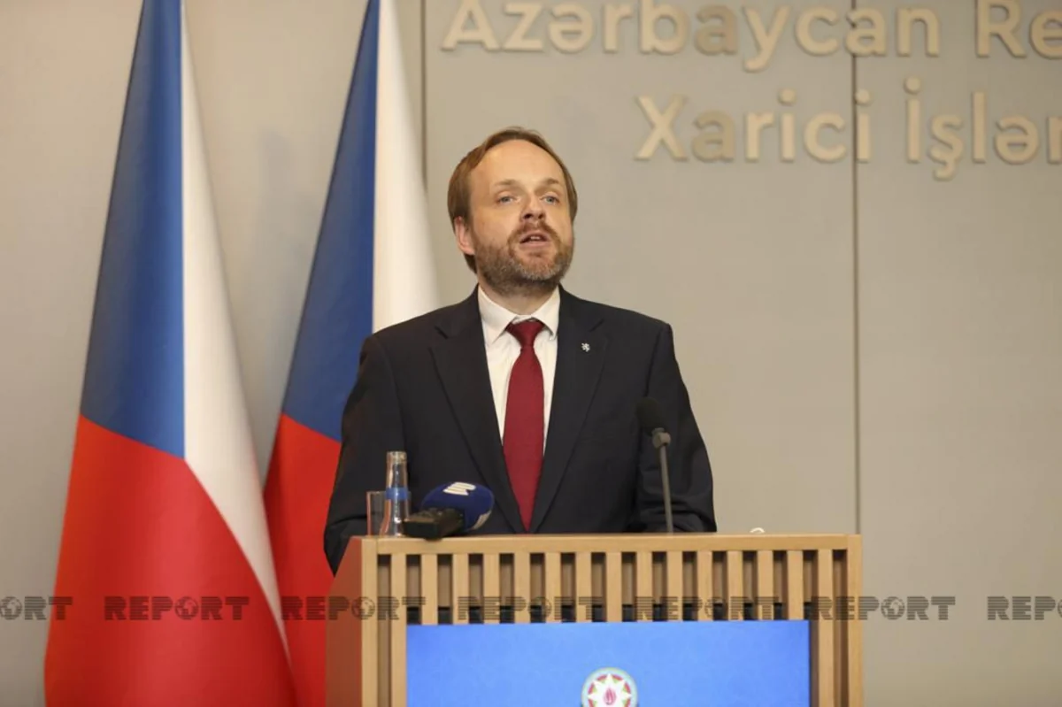 Czech FM praises cooperation with Azerbaijan