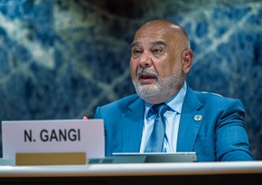 FAO: Agricultural innovations yield results in Azerbaijan