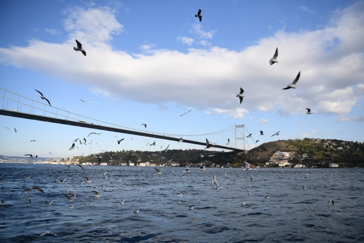 Türkiyə mina səbəbindən Qara dənizin bir hissəsində balıq ovuna qadağa qoyub