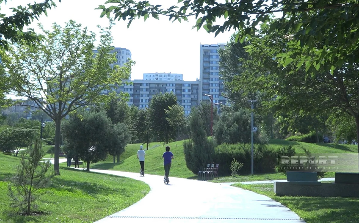 Yaşıl gələcəyə doğru – Bakıda park və istirahət məkanlarının yeni erası – REPORTAJ