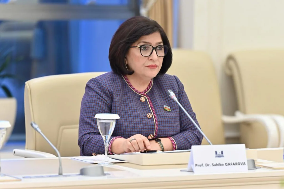 Sahibə Qafarova: AŞPA-dakı son proseslər ölkəmizə qarşı yalan kampaniyasının tərkib hissəsidir