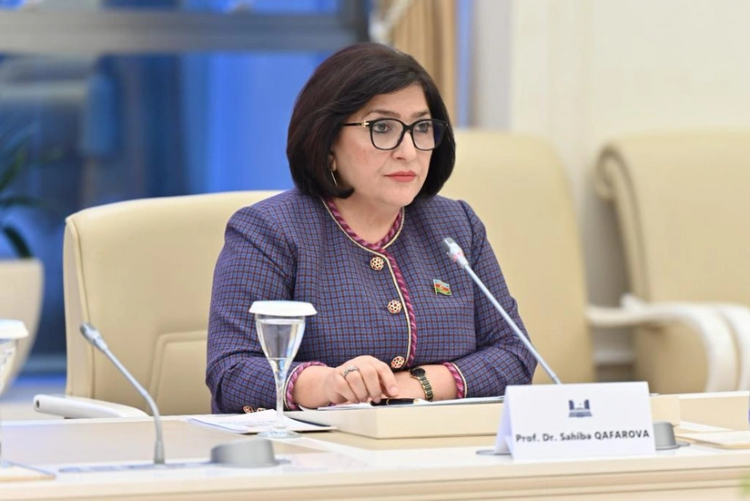 Sahibə Qafarova: AŞPA-dakı son proseslər ölkəmizə qarşı yalan kampaniyasının tərkib hissəsidir
