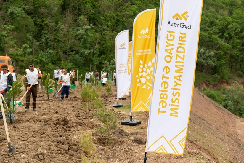 AzerGold starts reclamation work at gold mine for first time