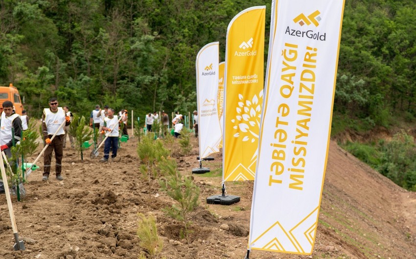AzerGold впервые приступил к работам по рекультивации на золотом руднике
