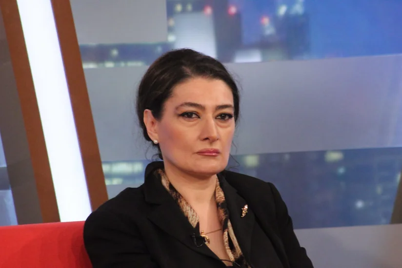 Gürcüstanda yeni müxalif partiya yaradılır
