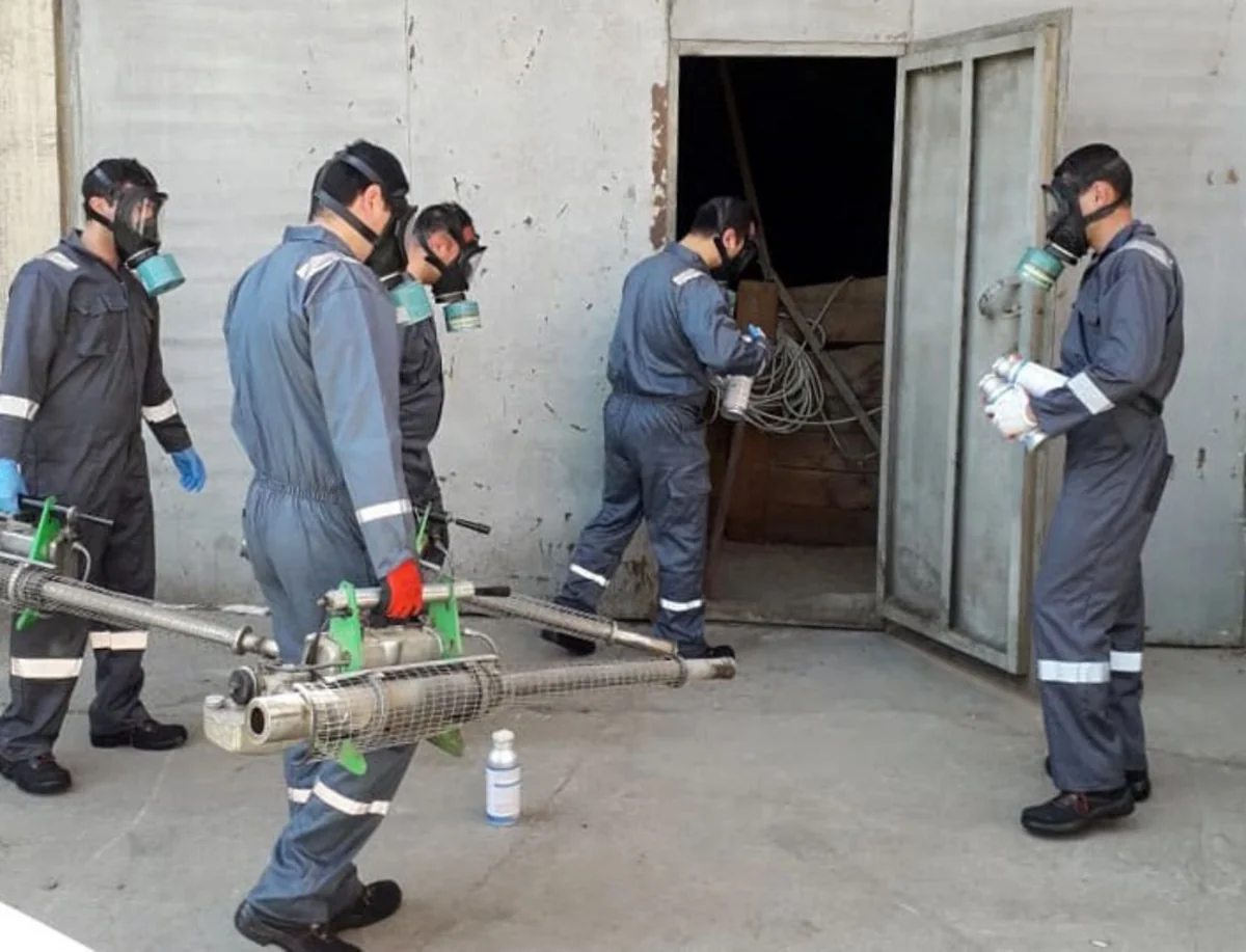 Toxum anbarlarında fumiqasiya tədbirləri aparılır
