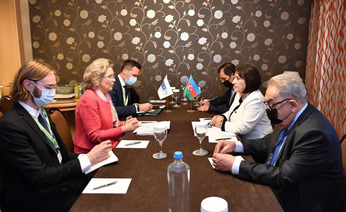 Cederfelt: OSCE PA attaches great importance to cooperation with Azerbaijan