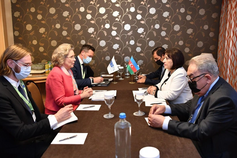 Cederfelt: OSCE PA attaches great importance to cooperation with Azerbaijan