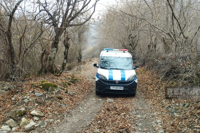 Oğuzda üzərinə ağac düşən kişi ölüb