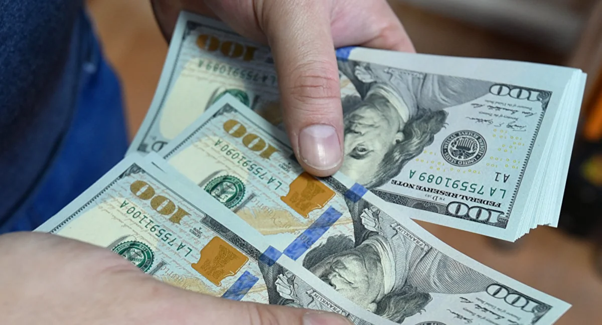 Azərbaycan əhalisi xalis dollar alışını 60 dəfə azaldıb