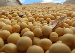 Азербайджан начал поставки сои из еще одной страны