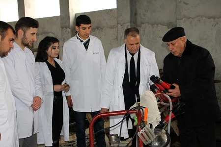Göyçayda heyvanlar arasında profilaktik peyvəndləmə tədbirləri aparılır