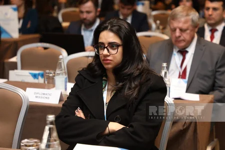 Bakıda “Mina təhlükəsi ilə mübarizə: innovasiyalar və qabaqcıl təcrübələr” konfransı keçirilir