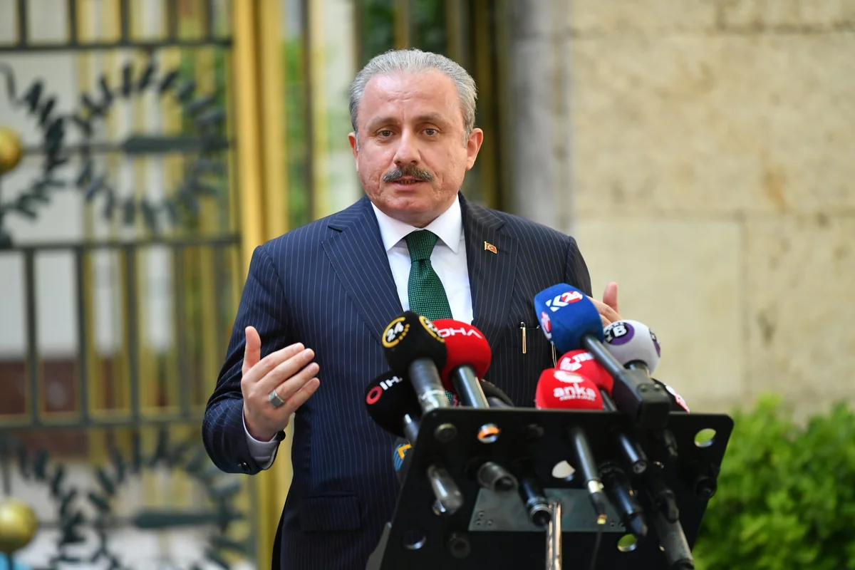 TBMM Sədri: Beynəlxaq ictimaiyyətə müraciət edirəm: karsınız, ya korsunuz?