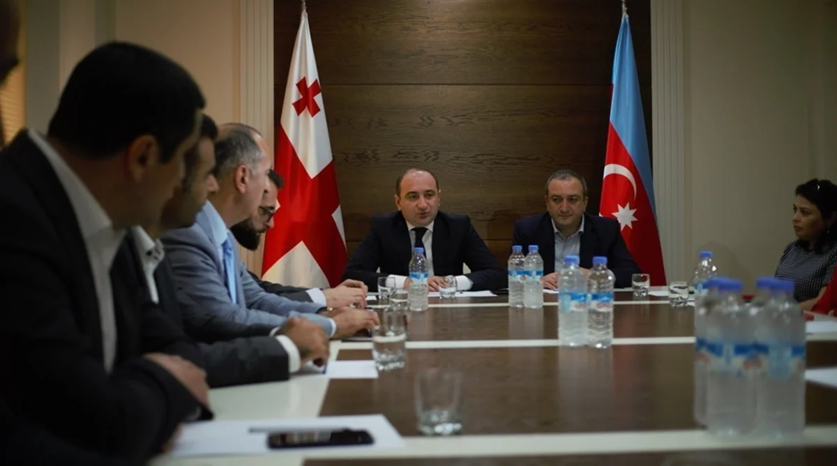 Gürcüstanın biznes ombudsmanı Azərbaycan şirkətlərinə qarşı kampaniyaya münasibət bildirib - ƏLAVƏ OLUNUB