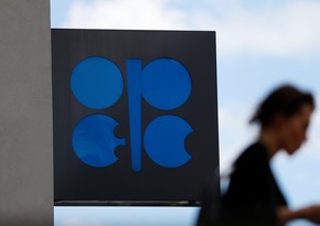 Добыча нефти вне ОПЕК в этом году снизится на 24 тыс. баррелей в сутки