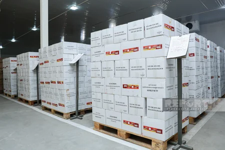 Ordunun ərzaq təminatı: laboratoriyalar, soyuducular və iş prinsipi - Mərkəzi Ərzaq Anbarından REPORTAJ - ÖZƏL GÖRÜNTÜLƏR