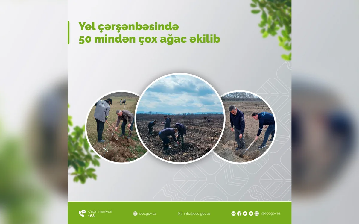 Yel çərşənbəsində 50 mindən çox ağac əkilib