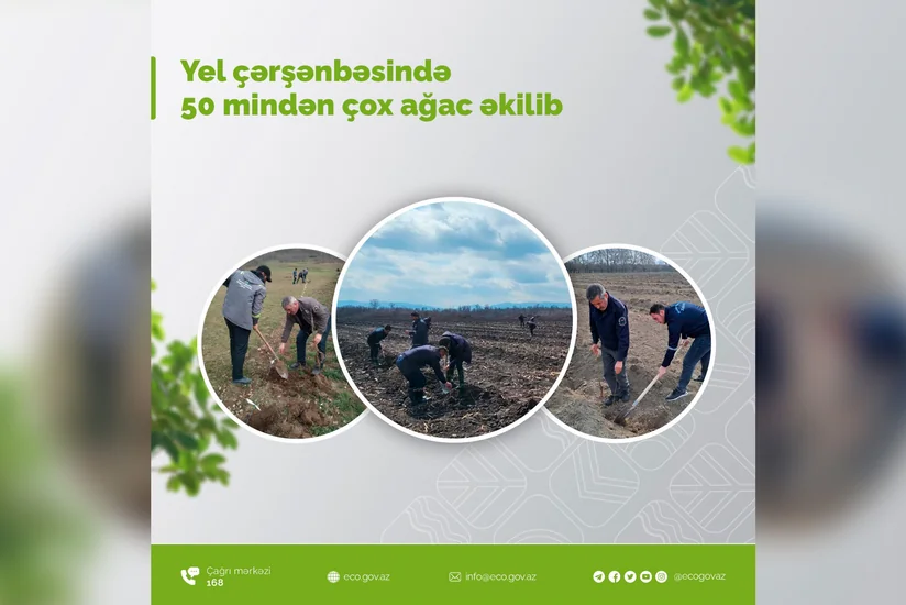 Yel çərşənbəsində 50 mindən çox ağac əkilib