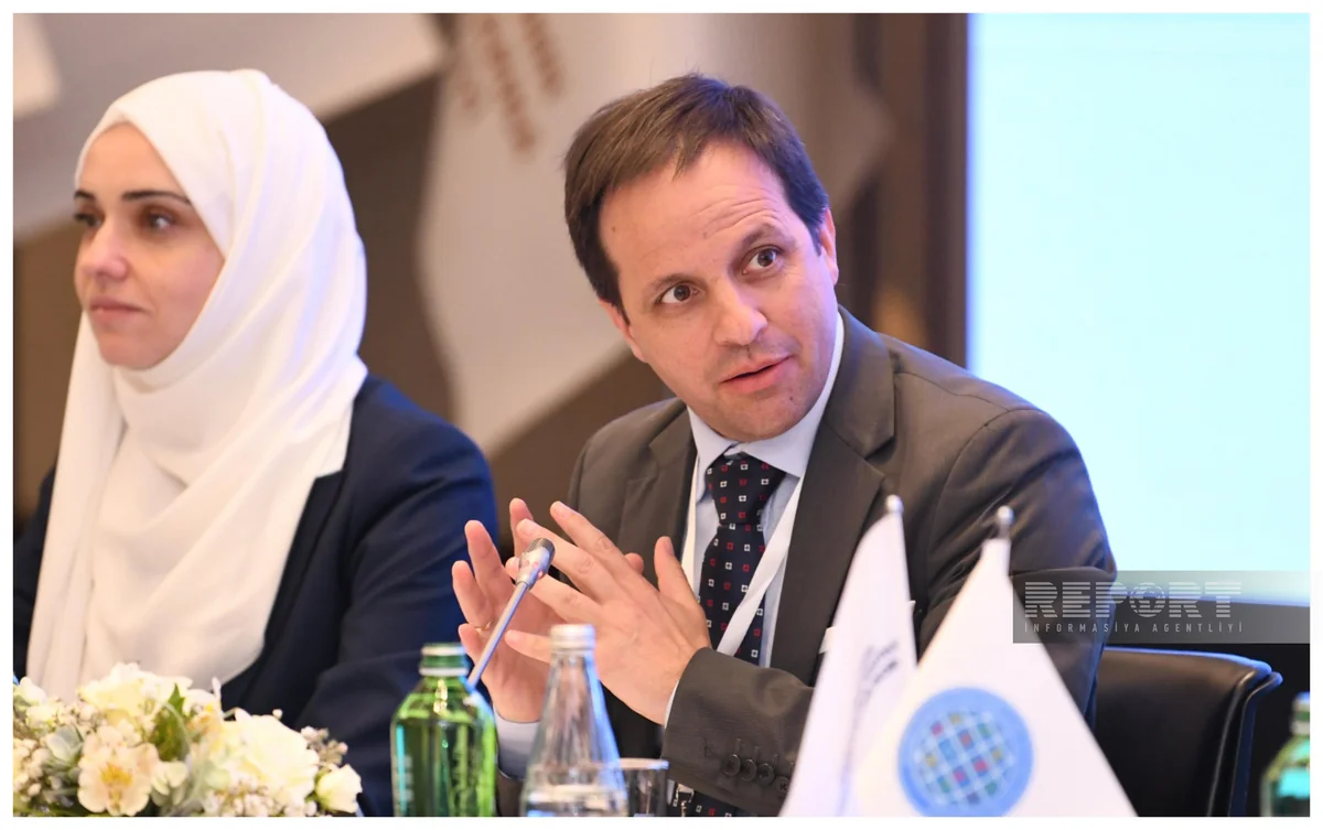 UN rep highlights link between climate change and armed conflicts