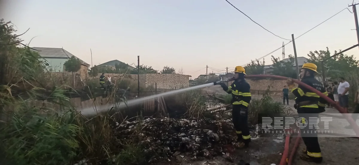 Sumqayıtda Yaşıl dərə massivində yanğın olub