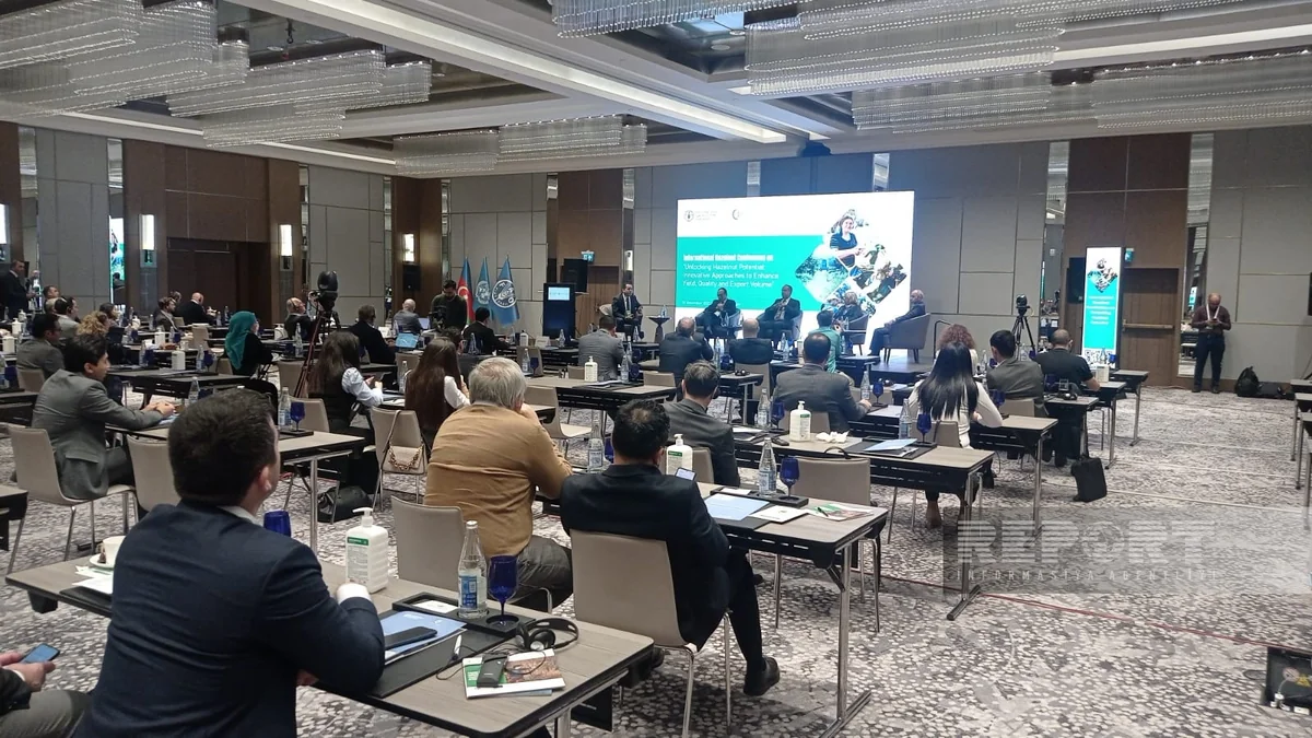 Azad Cəfərli: Azərbaycan 9 ayda fındıq ixracından 111 milyon dollar gəlir əldə edib