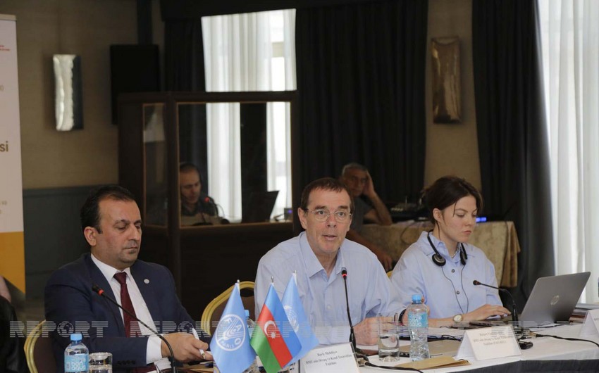 Azərbaycanda qida itkisi və israfının qarşısını almağın yolları açıqlanıb
