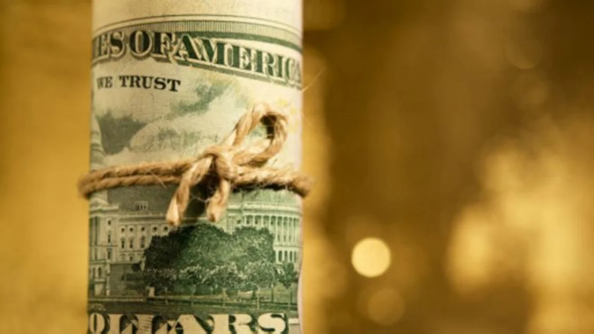 İŞİD-ə vəsait yollayan avstraliyalı qadın tutulub