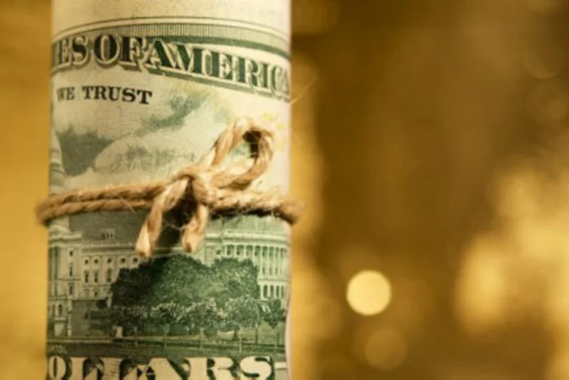 İŞİD-ə vəsait yollayan avstraliyalı qadın tutulub