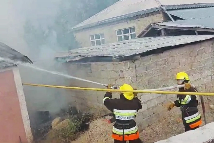 Ordubad, Babək və Şərur rayonlarında yanğınlar olub