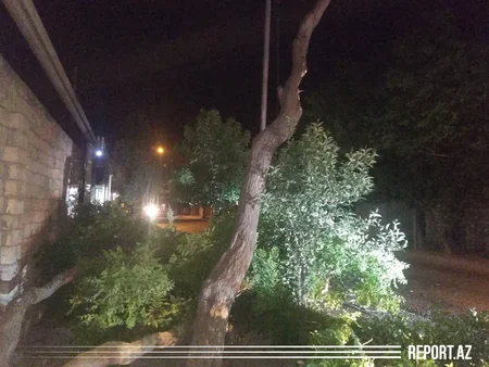 Güclü külək paytaxtda bir sıra fəsadlar törədib