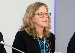 Глава SBI: Тупик на климатической конференции в Бонне был преодолен при содействии председательства Азербайджана