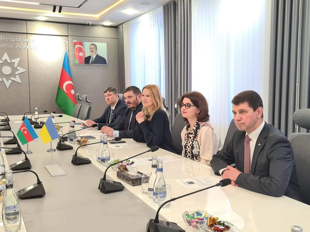 Parliament vice-speaker: Demining territories - problem uniting Azerbaijan and Ukraine