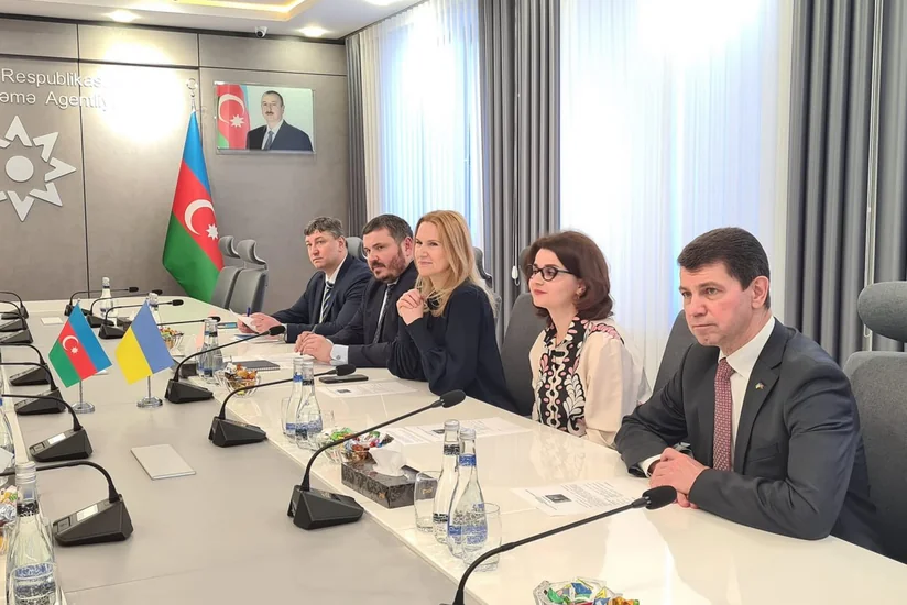 Parliament vice-speaker: Demining territories - problem uniting Azerbaijan and Ukraine