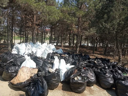 “Gilan Holding” World Cleanup Day hərəkatına qoşulub