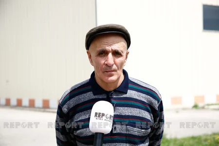 Qarabağ atları və Gürcüstan - ARAŞDIRMA - VİDEO