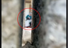 Qayınananın döydüyü gəlinlə bağlı Dövlət Komitəsindən açıqlama