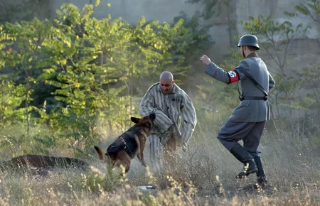 Nazirlik Xarqo filmi çəkdi