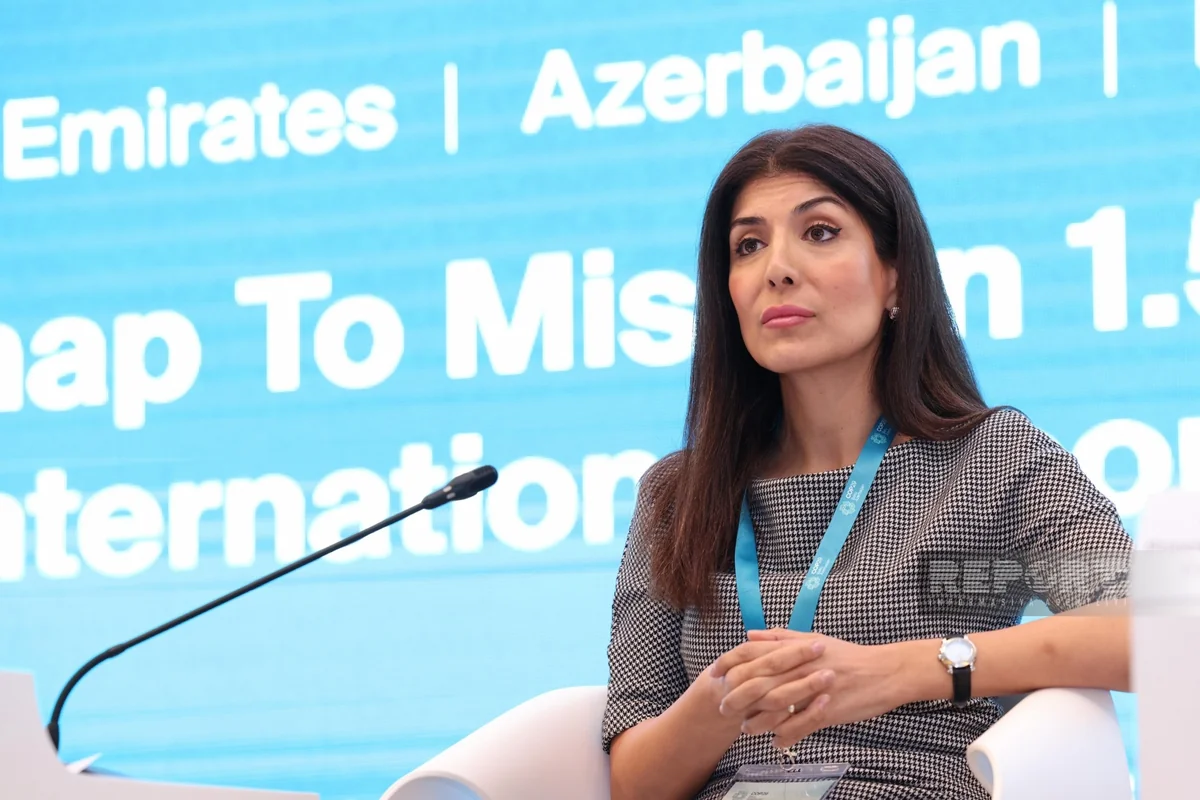 Private sector participation vital for achieving climate goals, says UN Climate Champion