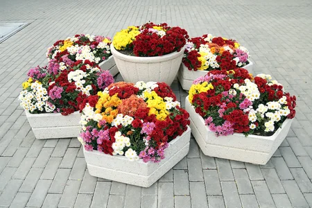 Ucuz çayxanalar da var... - BULVARDAN REPORTAJ