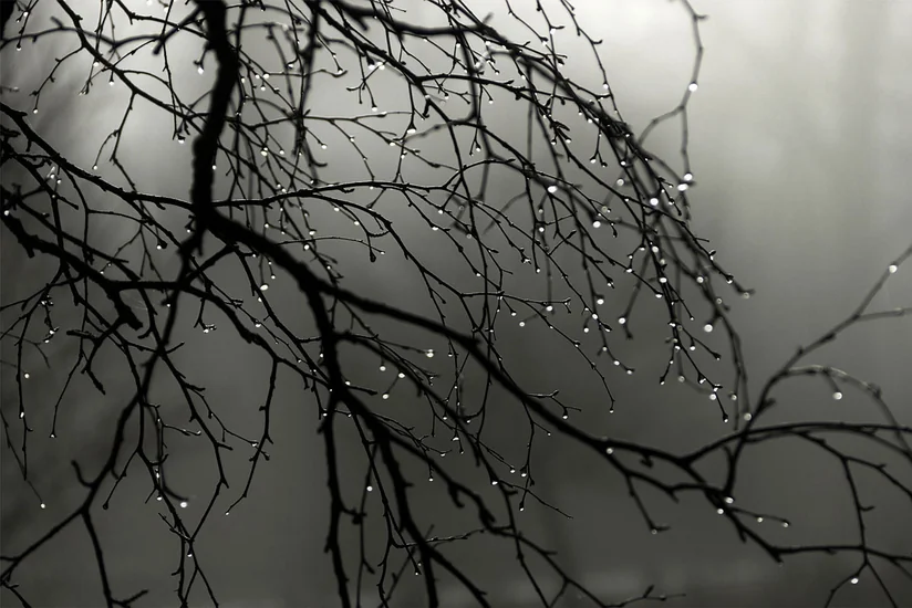 Sabah da yağış yağacaq